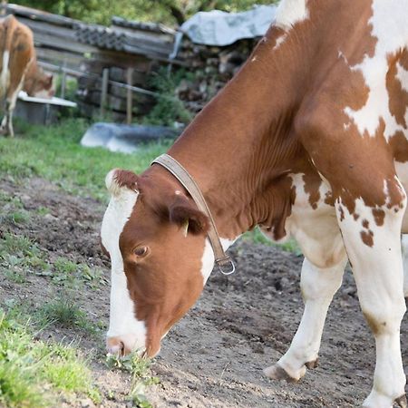 Appartamento Bio-Bauernhof Einberghof Pfarrwerfen Esterno foto