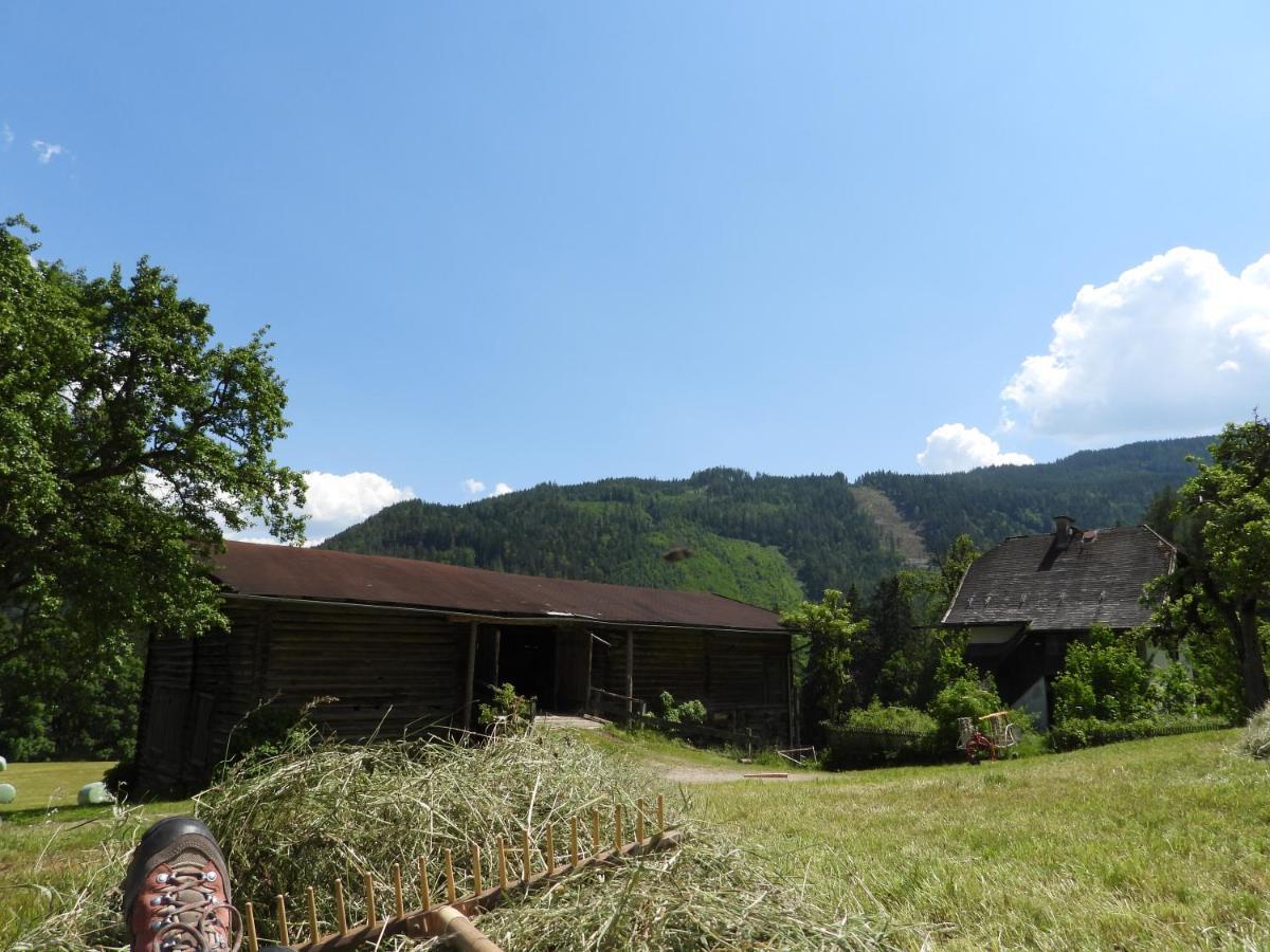 Appartamento Bio-Bauernhof Einberghof Pfarrwerfen Esterno foto