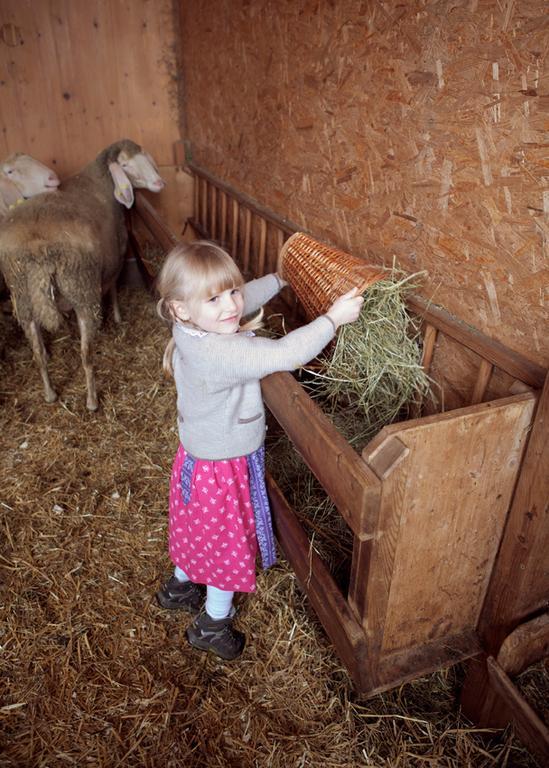 Appartamento Bio-Bauernhof Einberghof Pfarrwerfen Esterno foto