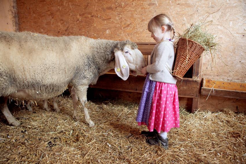 Appartamento Bio-Bauernhof Einberghof Pfarrwerfen Esterno foto