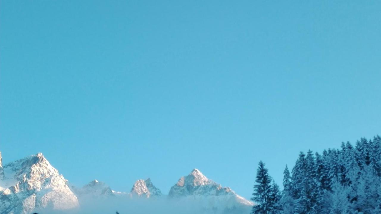 Appartamento Bio-Bauernhof Einberghof Pfarrwerfen Esterno foto